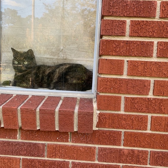 ⭐️⭐️CHECK OUT 💥⚡️✨💫 - Picture 4 of 8